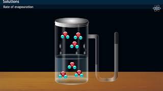 Vapour Pressure Definition amp Experiment [upl. by Oek]