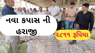 2811 રૂપિયા માં નવા કપાસ ની હરાજી થઇ [upl. by Nilrak655]