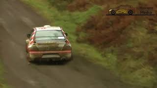 2019 Grizedale Stages Rally  KAZAACCIDENT  Aras Dinçer [upl. by Ybrik69]