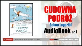 CUDOWNA PODRÓŻ Audiobook MP3  cz1 Pobierz całość książki audio dla Dzieci download [upl. by Chemesh]