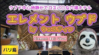 【バリ島】ウブド中心地、静かで綺麗なNEWホテル🌴5つ星ホテルプロデュース🌴コスパ◎【エレメントウブド】 [upl. by Acirre]