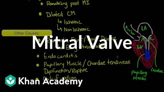 Mitral valve regurgitation and mitral valve prolapse  NCLEXRN  Khan Academy [upl. by Adena]