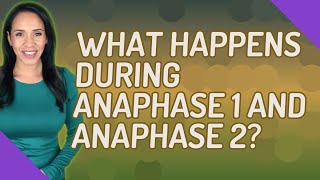 What happens during anaphase 1 and anaphase 2 [upl. by Jempty615]