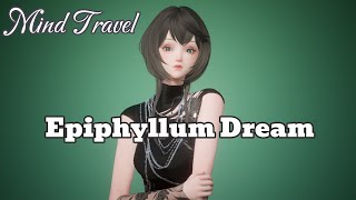 Bộ Epiphyllum Dream  Mind Travel  Life Makeover Sing [upl. by Tanny438]