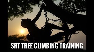 SRT Tree Climbing Training  Bulldog Bone  Bola Lanyard  GoPro  Arborist [upl. by Ellinger822]