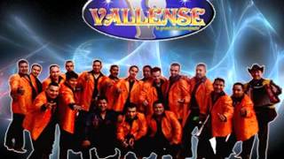 BANDA VALLENSE EL PISTOLERO [upl. by Aiyram]