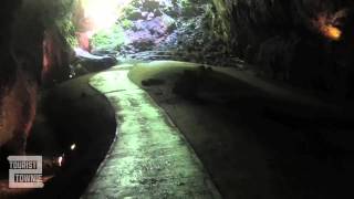 Parque de las Cavernas del Río Camuy Puerto Rico [upl. by Kathie349]