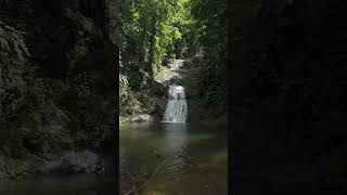 Twin river falls Tobago waterfalls water river trinidadandtobago trinidad ecofriendly travel [upl. by Bilak]