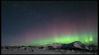 Aurora Cam [upl. by Anerbas]