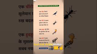 1 janwar ne insan ko dafnane 😭☝️🤲islamicstatus islamicvideo viralvideo shortvideo [upl. by Odele]