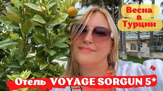 VOYAGE SORGUN 5 Сиде Отель для привилегированного отдыха Потрясающая природа Весна в Турции [upl. by Neitsabes]