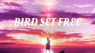 SIA BIRD SET FREE  lyrics [upl. by Martita]