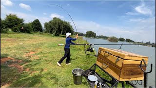 R50 Dam Alberton How to catch carp at an easier venue [upl. by Nemrak]