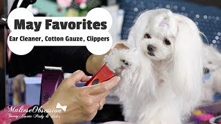 Maltese Grooming May Favorites Bravura Clippers Ear Cleaner Cotton Gauze 말티즈 How to Clean Ears [upl. by Dorkas285]