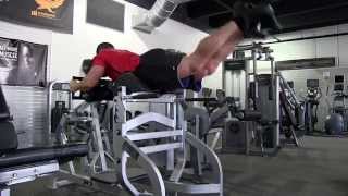 Weighted Reverse HyperExtension [upl. by Amluz]