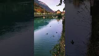 Interlaken 瑞士 travel mountains nature swiss switzerland swissnature beautiful [upl. by Red]