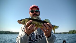 Bottom Bouncin Walleyes in Northwest Ontario [upl. by Cohe]