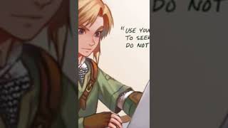 Link Your Burning Everything zelda totk zeldatotk zeldabotw legendofzelda nintendo [upl. by Bauske]