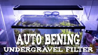 Undergravel Filter Aquascape [upl. by Aimat605]