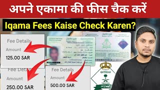 एकामा फीस चैक करने का नया तरीका  How To Check Iqama Fees Online [upl. by Mischa577]