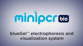 blueGel™ by miniPCR bio™ [upl. by Nguyen]