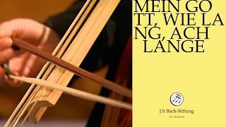 JS Bach  Aria quotWirf mein Herze wirf dich nochquot from Cantata BWV 155 [upl. by Matthaus940]