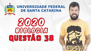 UFSC 2020  Questão 38  Na figura abaixo há uma foto dos cromossomos em metáfase mitótica de uma m [upl. by Halfon289]