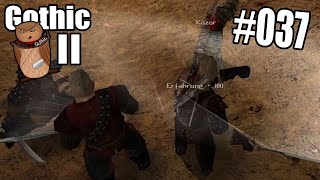 Razor jagt  Gothic II Die Nacht des Raben 037 Lets Play [upl. by Seidel]