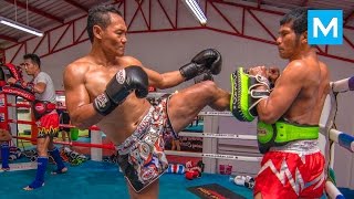 Saenchai Muay Thai Training  Muscle Madness [upl. by Laverna]