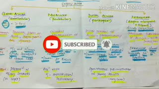 emphysema  Obstructive lung disease  part  1  handwritten notes [upl. by Macintyre]