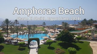 Amphoras Beach Sharm El Sheikh June 2024 [upl. by Aisanat]