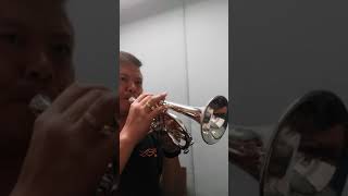 carol brass eb soprano cornet testing 1 [upl. by Iveksarap]