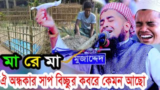 মা রে মা ঐ অন্ধকার সাপ বিচ্ছুর কবরে কেমন আছো ilyasurrahmanjihadi ইলিয়াছুররহমানজিহাদীওয়াজ [upl. by Aramo]