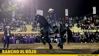 🏆De los MEJORES FRISONES en la FERIA GANADERA DE CULIACÁN [upl. by Eem]