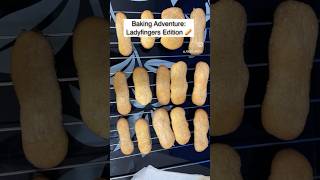 Ladyfinger Biscuits  Savoiardi Recipe ladyfingerrecipes savoiardi italiandesserts tiramisu yt [upl. by Jaret]