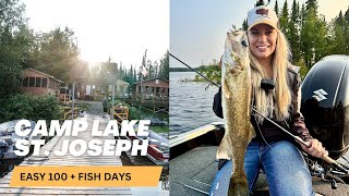 The Best Kept Secret in Walleye Fishing [upl. by Yetah]