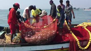 Boat fishing at benaulim beach Goa [upl. by Derte]