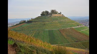 Heilbronner Land WWWW bei Weinsberg Wartberg Weibertreu [upl. by Nicks250]