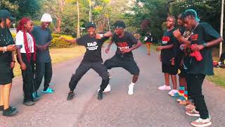 Asake ft olamideomoopeDANCE VIDEO  YAD ACADEMY [upl. by Corella358]