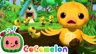 Can You Find The Ducks  Hide amp Seek  Games For Children  Cocomelon Nursery Rhymes amp Kid Songs [upl. by Nibbs]