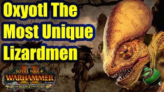 Oxyotl The Most Unique Lizardmen Mechanics  The Silence And The Fury  Total War Warhammer 2 [upl. by Anirbas]