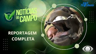 ODONTOLOGIA EQUINA PAUDALHO PGM NOTÍCIAS DO CAMPO N104 271024 [upl. by Ecirbaf]