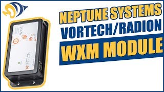 Neptune Systems VorTechRadion WXM Module What YOU Need to Know [upl. by Yellhsa79]