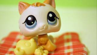 Littlest Pet Shop The Summer Camp Part 1 THE REMAKE [upl. by Sergias]