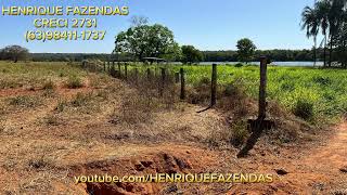 FAZENDA NO TOCANTINS BEIRA LAGO 65 ALQUEIRES 63984111737 [upl. by Notlrak]