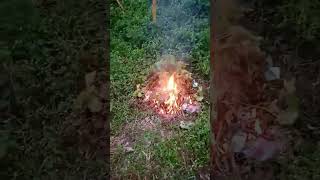 Perme Bura Arunachal Clean Plastic In Forest Area treadings youtubeshorts shortvideo [upl. by Oralee]