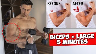 BICEPS PLUS LARGES  5 MEILLEURS EXERCICES [upl. by Nylekcaj]