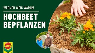 Hochbeet bepflanzen  COMPO [upl. by Lajib19]