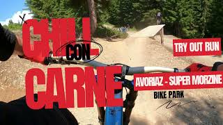 Chill Con Carne  Avoriaz  Super Morzine  Chatel  bike park [upl. by Lebazej]