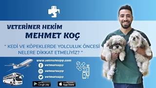 KEDİ VE KÖPEKLERLE YOLCULUK ARTIK ÇOK KOLAY MUTLAKA İZLEYİN [upl. by Staten]